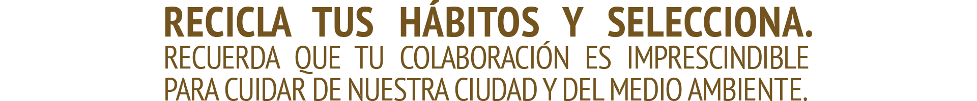 recicla 2